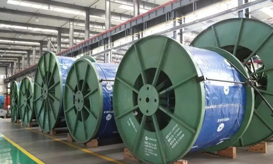 Perforazioni 3/4" 2507 della tubatura arrotolata giacimento di petrolio ad alta pressione